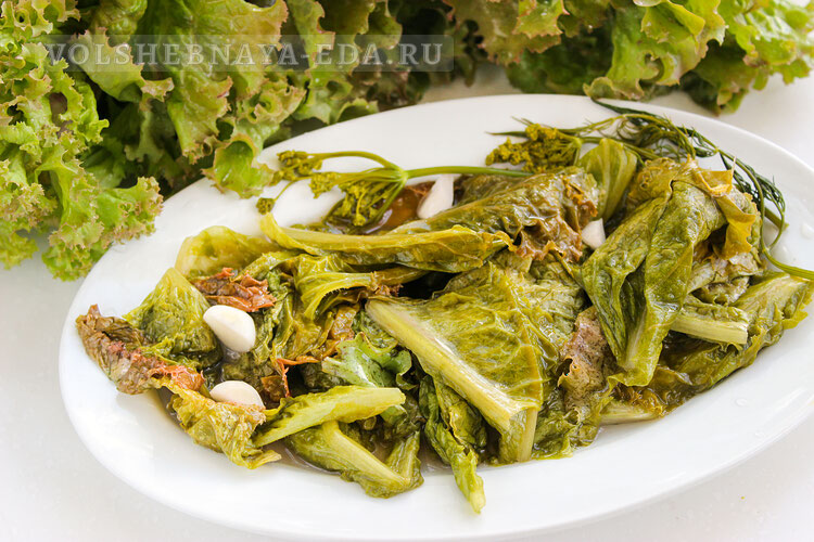 kvashenyj salat tryapkes 8