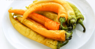 solenyj cicak 11